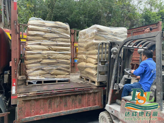 广州地石丽