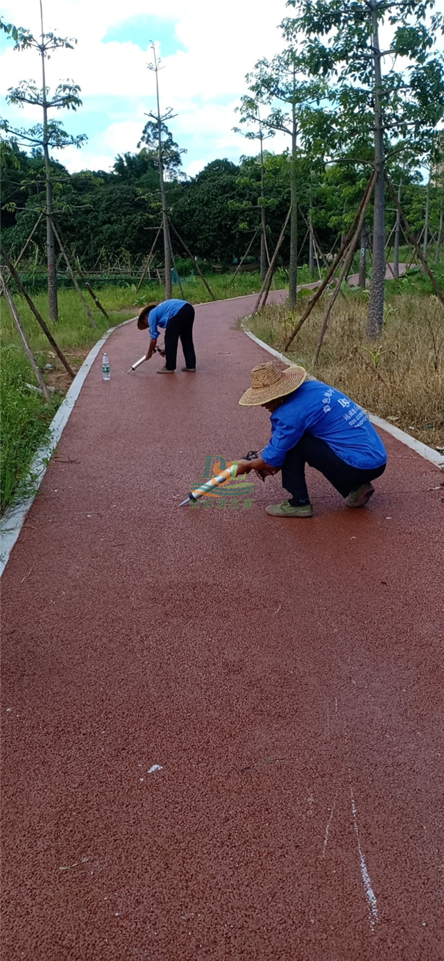 增城仙村仙基农业荔枝小镇透水地坪项目