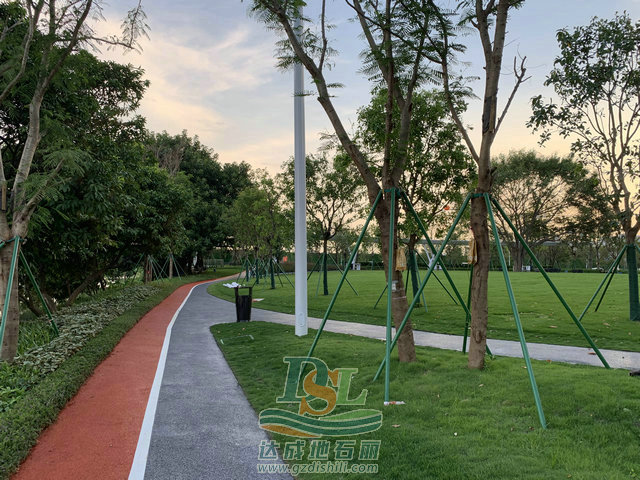 东莞洪梅梅沙公园透水混凝土08.jpg